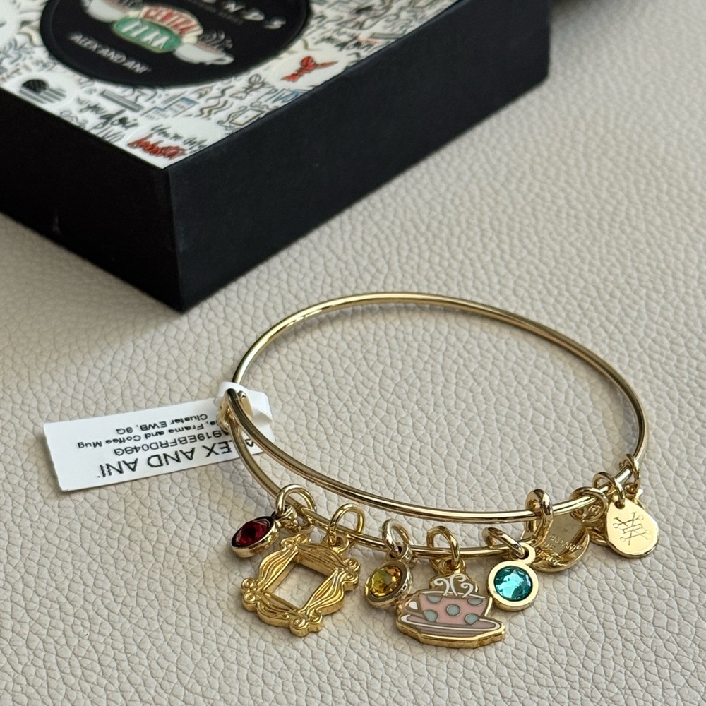 Alex and Ani Gold Bangle - Friends the TV series